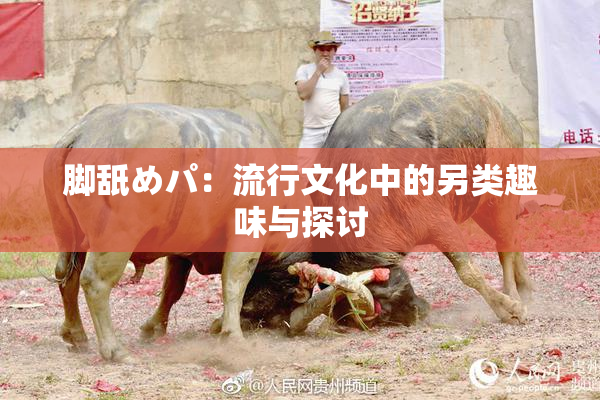 脚舐めパ：流行文化中的另类趣味与探讨