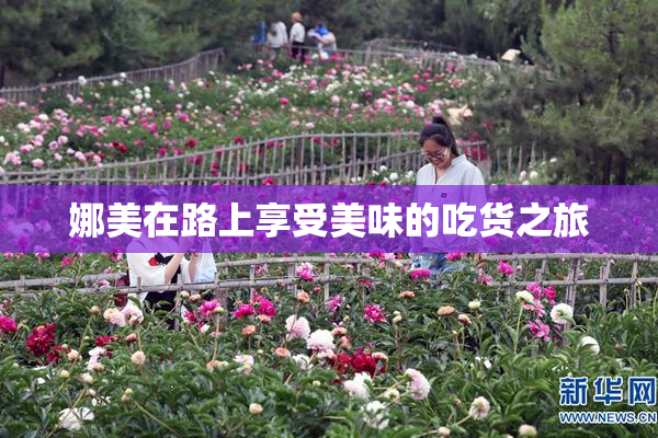 娜美在路上享受美味的吃货之旅