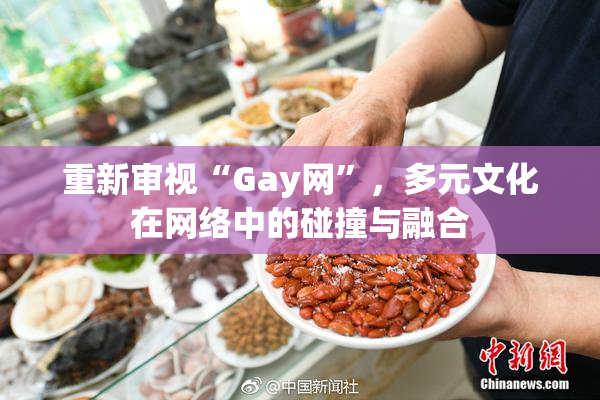 重新审视“Gay网”，多元文化在网络中的碰撞与融合