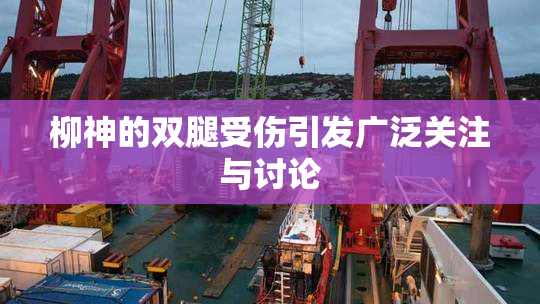 柳神的双腿受伤引发广泛关注与讨论