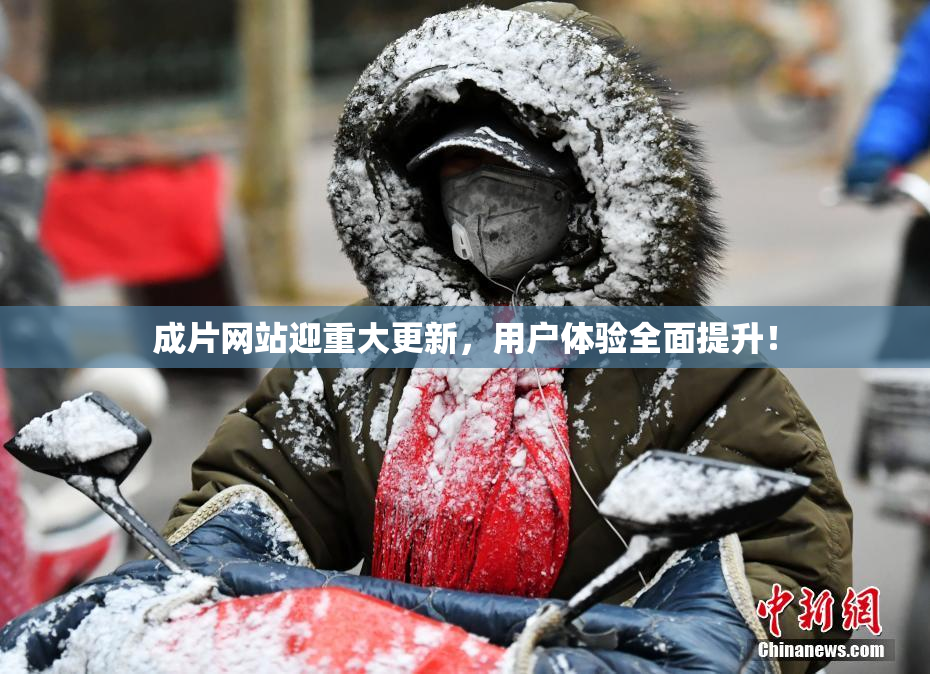 成片网站迎重大更新，用户体验全面提升！
