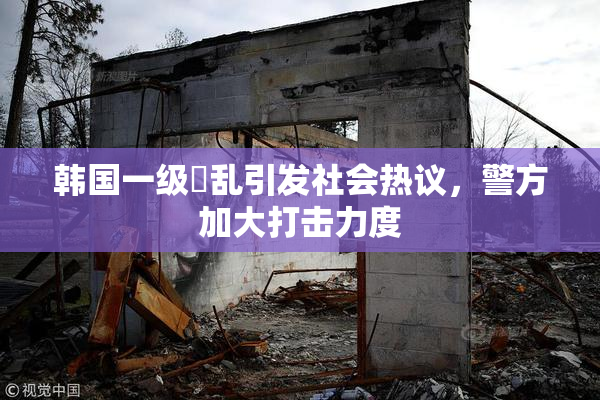 韩国一级婬乱引发社会热议，警方加大打击力度