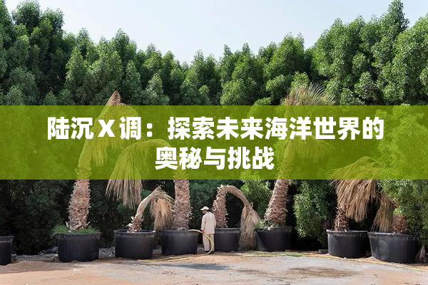 陆沉Ⅹ调：探索未来海洋世界的奥秘与挑战