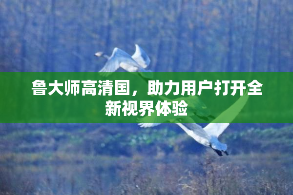 鲁大师高清国，助力用户打开全新视界体验