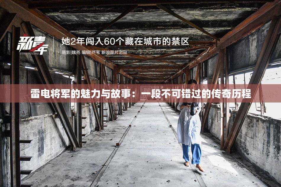 雷电将军的魅力与故事：一段不可错过的传奇历程
