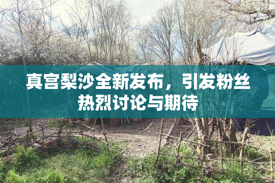 真宫梨沙全新发布，引发粉丝热烈讨论与期待