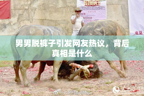 男男脱裤子引发网友热议，背后真相是什么