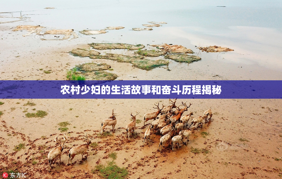 农村少妇的生活故事和奋斗历程揭秘