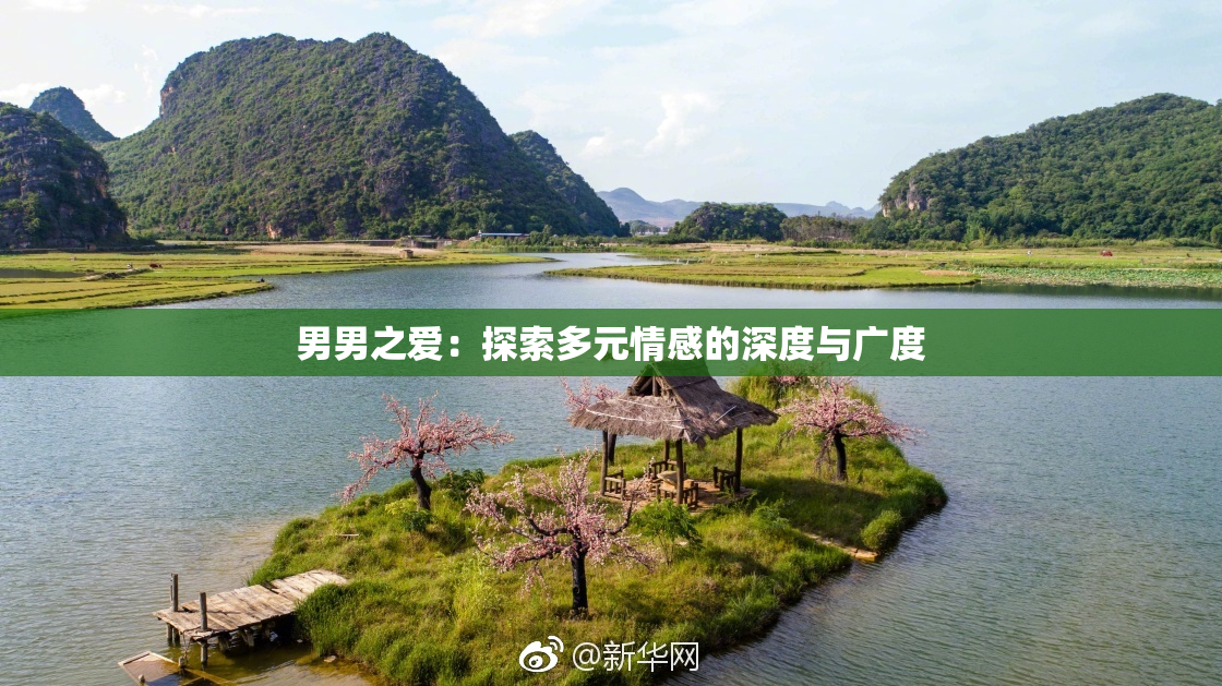 男男之爱：探索多元情感的深度与广度