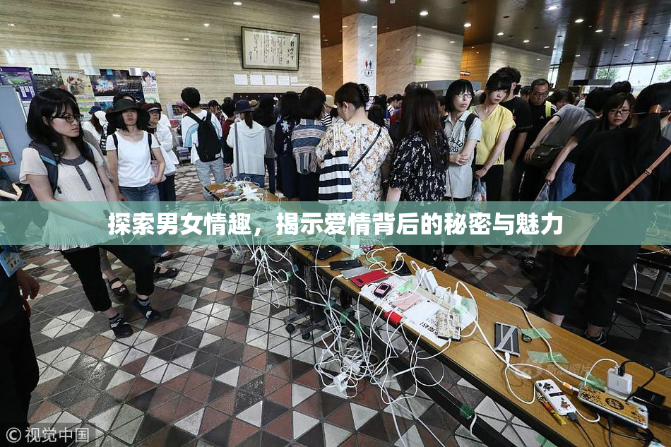探索男女情趣，揭示爱情背后的秘密与魅力
