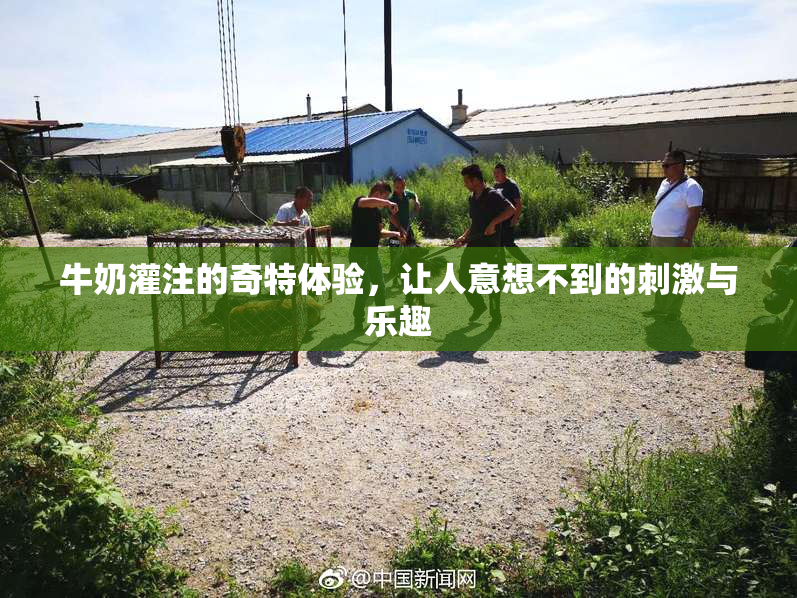 牛奶灌注的奇特体验，让人意想不到的刺激与乐趣