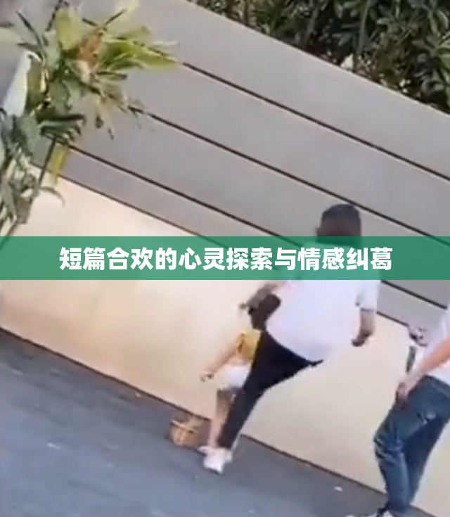 短篇合欢的心灵探索与情感纠葛