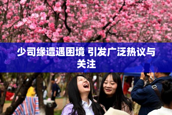 少司缘遭遇困境 引发广泛热议与关注