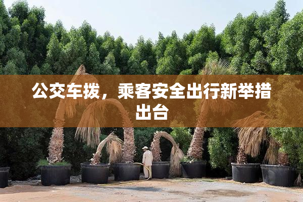 公交车拨，乘客安全出行新举措出台