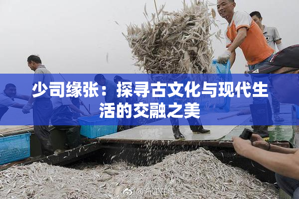 少司缘张：探寻古文化与现代生活的交融之美