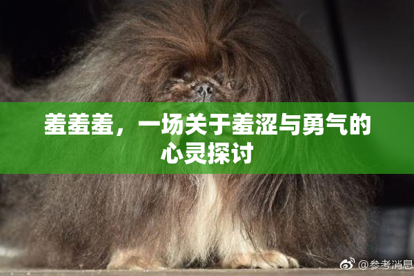 羞羞羞，一场关于羞涩与勇气的心灵探讨