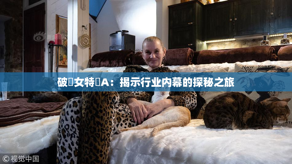破處女特級A：揭示行业内幕的探秘之旅