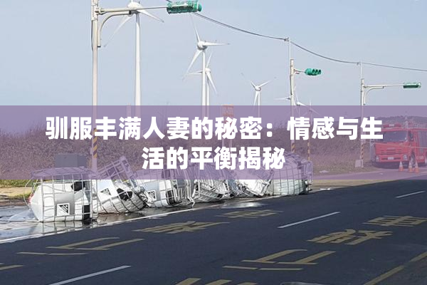 驯服丰满人妻的秘密：情感与生活的平衡揭秘