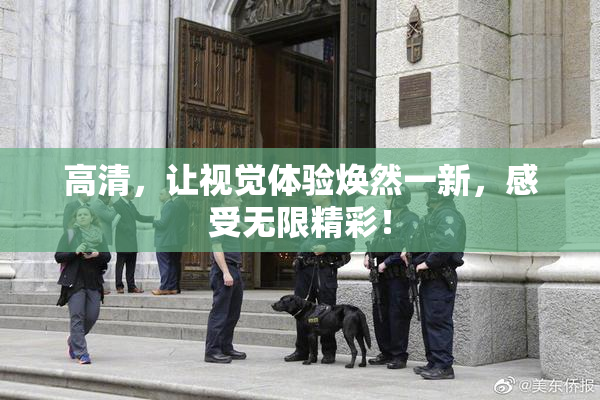 高清，让视觉体验焕然一新，感受无限精彩！