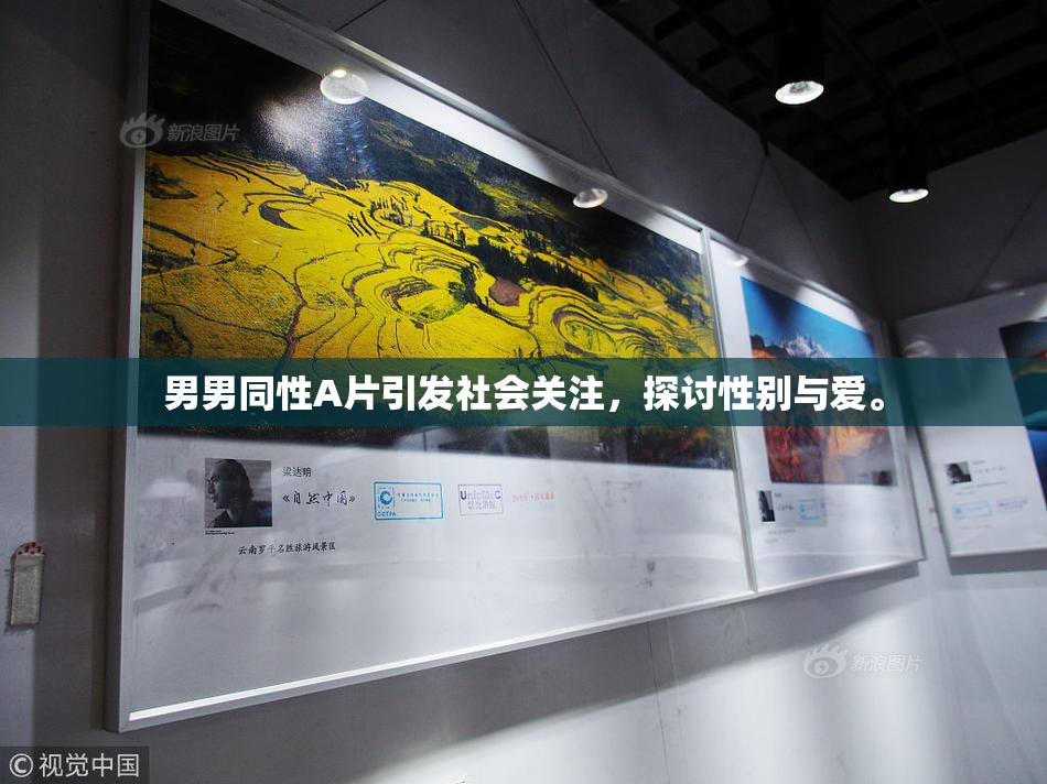 男男同性A片引发社会关注，探讨性别与爱。