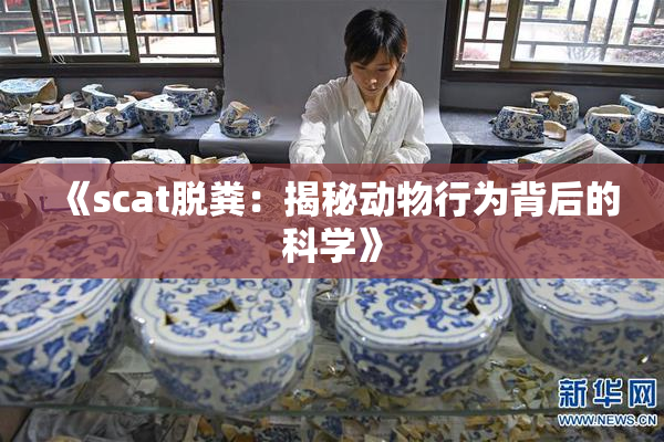 《scat脱粪：揭秘动物行为背后的科学》