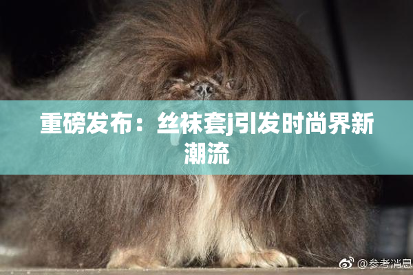 重磅发布：丝袜套j引发时尚界新潮流