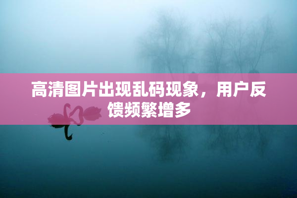 高清图片出现乱码现象，用户反馈频繁增多