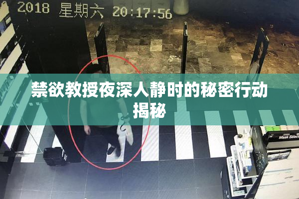 禁欲教授夜深人静时的秘密行动揭秘