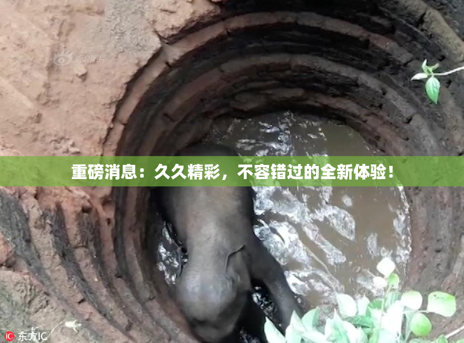 重磅消息：久久精彩，不容错过的全新体验！