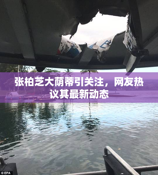 张柏芝大荫蒂引关注，网友热议其最新动态