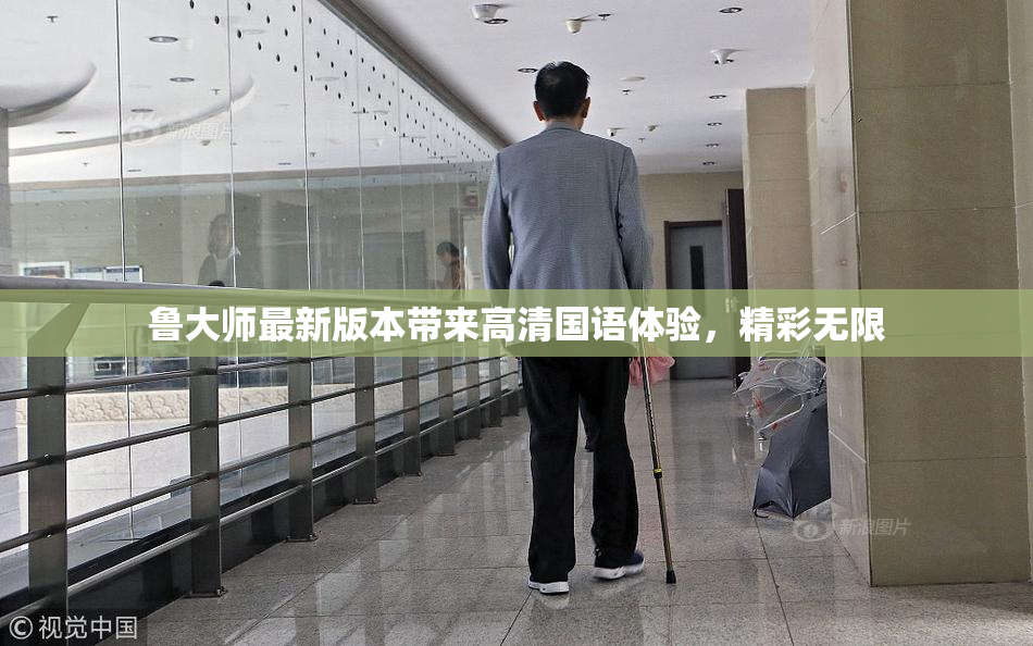鲁大师最新版本带来高清国语体验，精彩无限