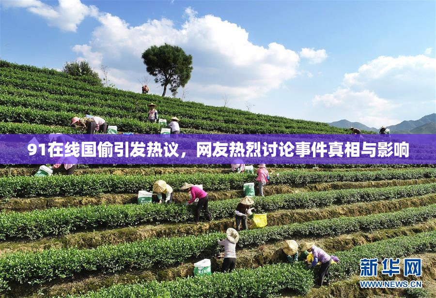 91在线国偷引发热议，网友热烈讨论事件真相与影响