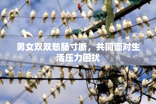 男女双双愁肠寸断，共同面对生活压力困扰