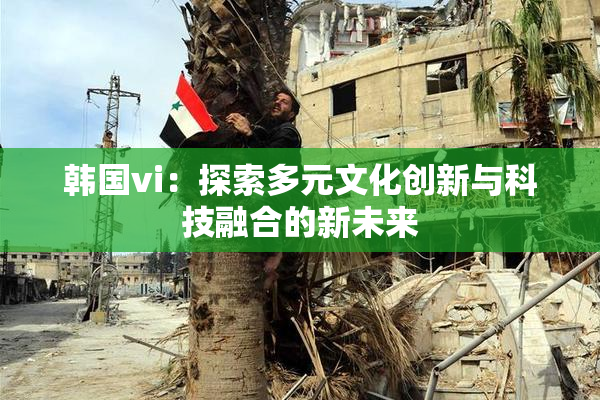 韩国vi：探索多元文化创新与科技融合的新未来
