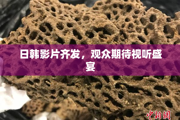 日韩影片齐发，观众期待视听盛宴