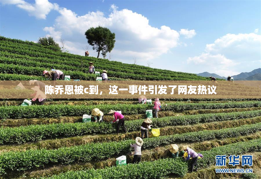 陈乔恩被c到，这一事件引发了网友热议