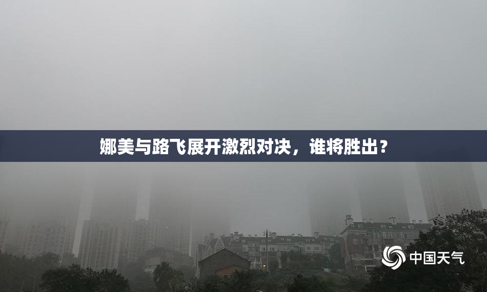 娜美与路飞展开激烈对决，谁将胜出？