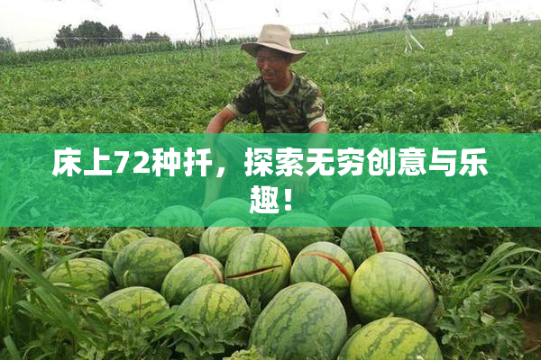 床上72种扦，探索无穷创意与乐趣！