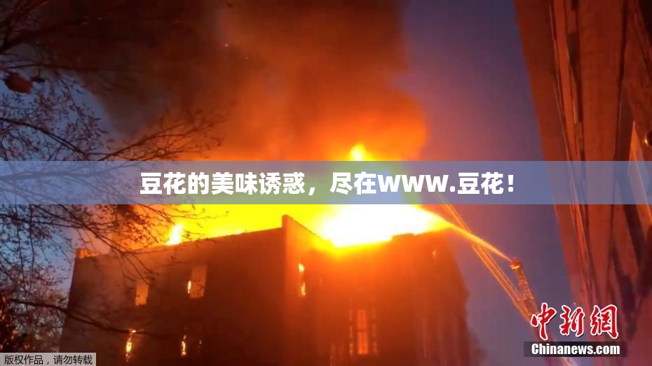 豆花的美味诱惑，尽在WWW.豆花！