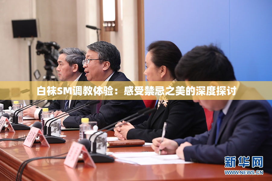 白袜SM调教体验：感受禁忌之美的深度探讨