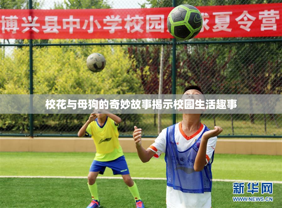 校花与母狗的奇妙故事揭示校园生活趣事