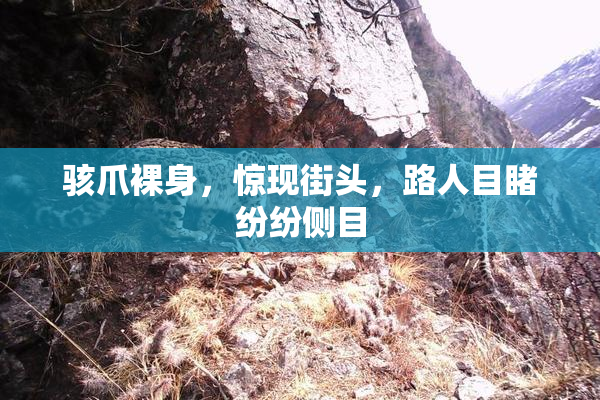 骇爪裸身，惊现街头，路人目睹纷纷侧目