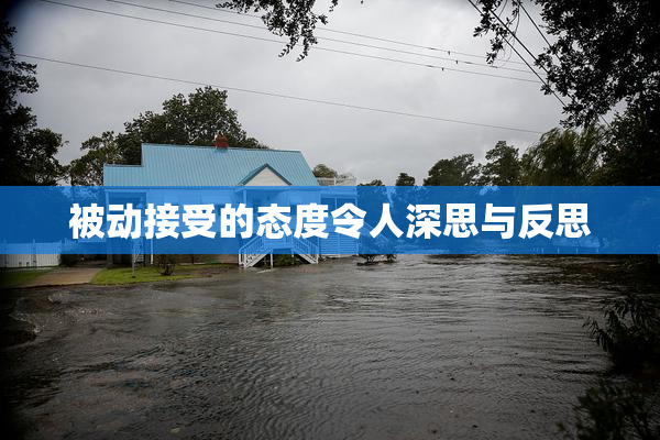 被动接受的态度令人深思与反思
