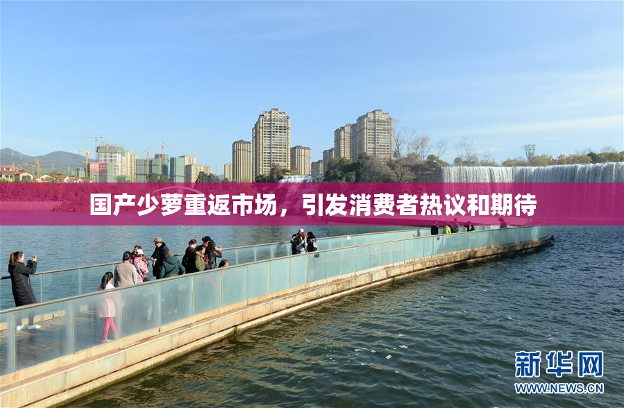 国产少萝重返市场，引发消费者热议和期待