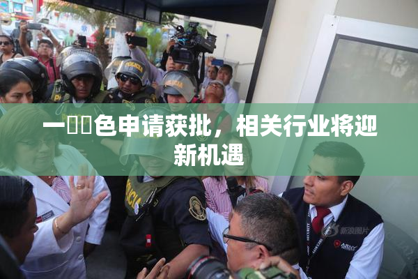 一級黃色申请获批，相关行业将迎新机遇