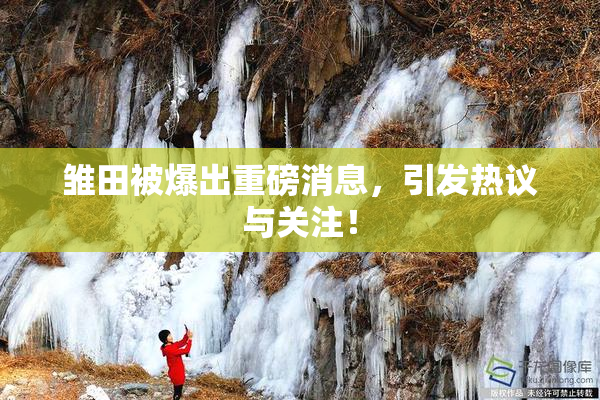 雏田被爆出重磅消息，引发热议与关注！