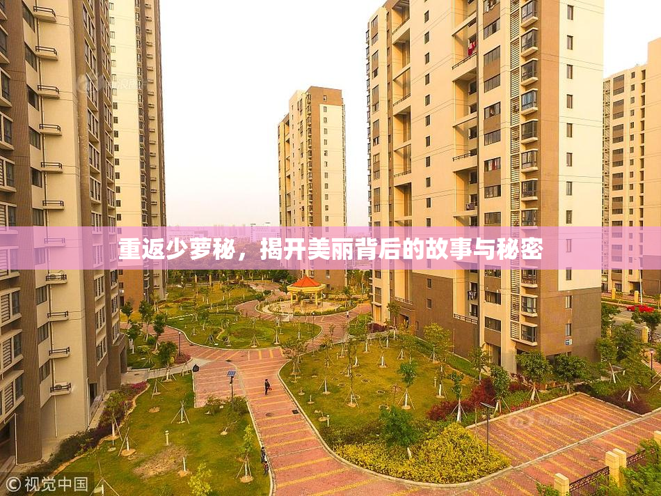重返少萝秘，揭开美丽背后的故事与秘密