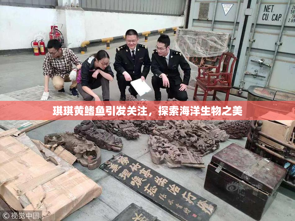 琪琪黄鳍鱼引发关注，探索海洋生物之美