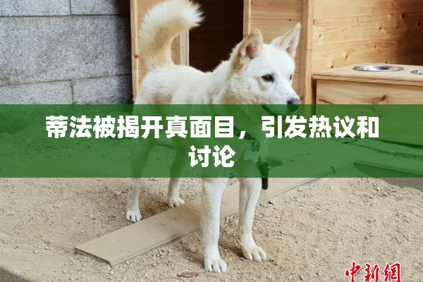 蒂法被揭开真面目，引发热议和讨论