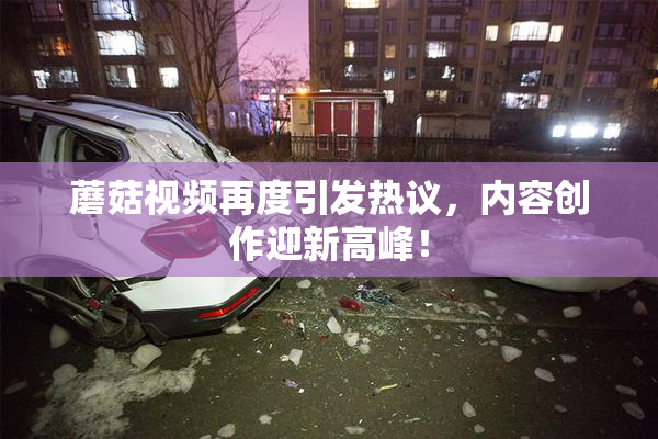蘑菇视频再度引发热议，内容创作迎新高峰！